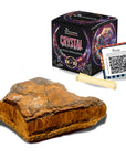 SAMSARA - OCCHIO DI TIGRE Pietra Grezza Naturale con Confezione Regalo e Foglietto Informativo | Scopri su Clorophilla Shop