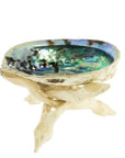 Treppiedi base per Conchiglia Abalone - Legno di pioppo intagliato a mano | Scopri su Clorophilla Shop