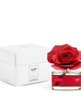 MUHÀ Rose Diffuser Profumatore ambiente con rosa - Petali di rosa | Scopri su Clorophilla Shop
