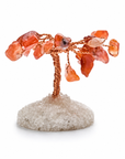 ALBERO DECORATIVO IN PIETRA | Scopri su Clorophilla Shop