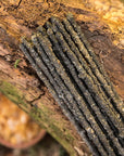 SAGRADA MADRE INCENSO NATURALE - Frankincense (Olibano) | Scopri su Clorophilla Shop