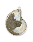 CIONDOLO DI AMMONITE - Fossile Energetico | Scopri su Clorophilla Shop