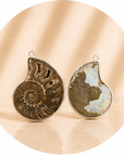 CIONDOLO DI AMMONITE - Fossile Energetico | Scopri su Clorophilla Shop