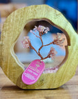 ALBERO IN QUARZO ROSA CON ANELLO IN MANGO - Amore e armonia - Clorophilla Shop