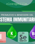 Clorophilla Spirulina Bio in compresse - Integratore dimagrimento, stanchezza e difese immunitarie - Clorophilla Shop