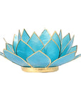 Loto illuminazione d'atmosfera in Conchiglia Lapiz - Portalumino azzurro 5 Chakra | Scopri su Clorophilla Shop