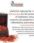 SAMSARA - Incenso in Polvere Naturale 100% - SANDALWOOD - Clorophilla Shop