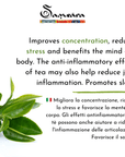 SAMSARA - Incenso in Polvere Naturale 100% - TÈ E AGARWOOD - Clorophilla Shop