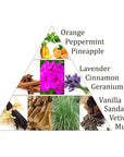 Aromafume Vishuddha 5 Chakra della Gola Mattoncini Incenso 7 Chakra - 9 bricks | Scopri su Clorophilla Shop