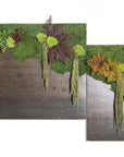 Quadro Vegetale Stabilizzato metal rust green forest in Ferro | Scopri su Clorophilla Shop