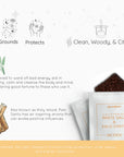 Aromafume "White Sage" Kit Bruciaincenso + 12 Mattoncini di incenso - Niente Fumo e Cenere | Scopri su Clorophilla Shop