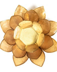 Loto illuminazione d'atmosfera in Conchiglia Lapiz - Portalumino beige/fumè | Scopri su Clorophilla Shop