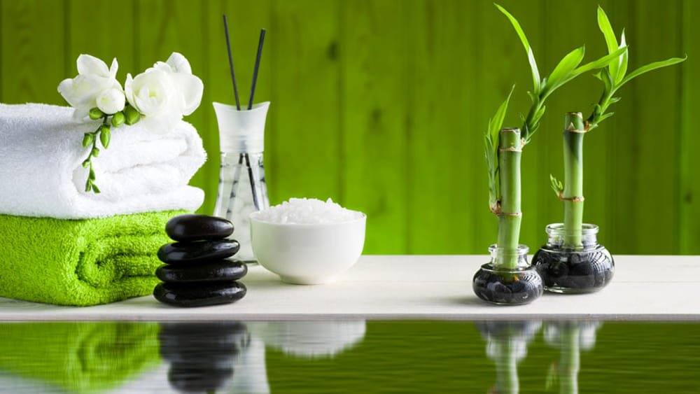 Articoli Feng Shui - Clorophilla Shop