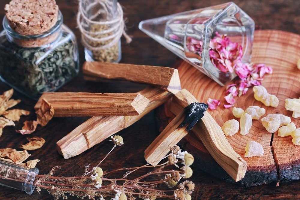 Palo Santo - Clorophilla Shop