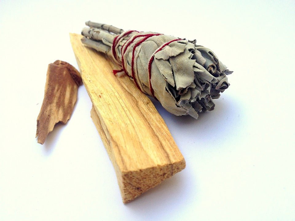 Palo Santo e Salvia Bianca - Clorophilla Shop