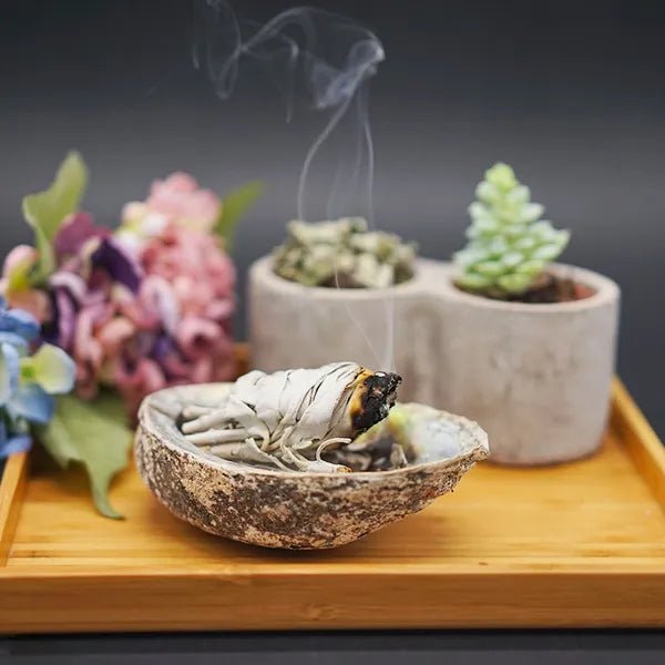 Salvia Bianca - Clorophilla Shop