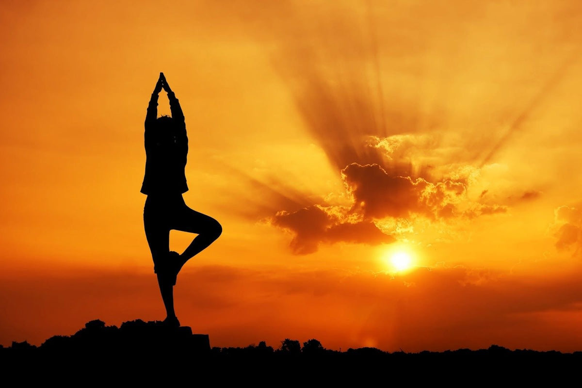 Yoga e Meditazione - Clorophilla Shop