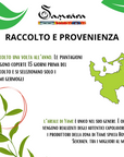 SAMSARA - Kit pronto all'uso Matcha Cerimoniale Grado IMPERIALE Premium | Scopri su Clorophilla Shop