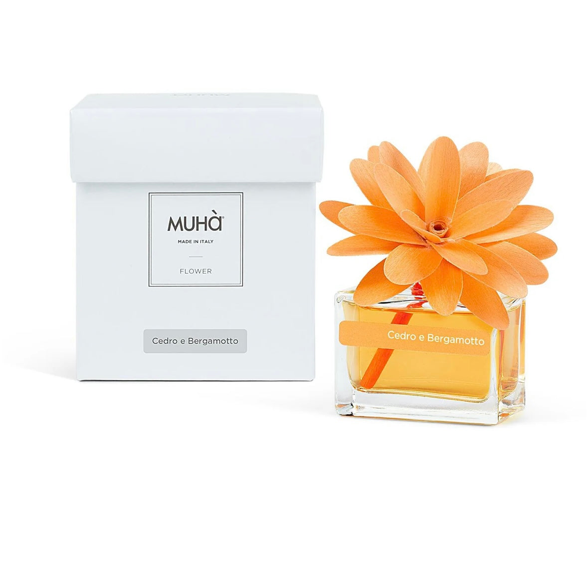 MUHÀ Flower Diffuser Profumatore d'ambiente con fiore - Cedro e Bergamotto | Scopri su Clorophilla Shop