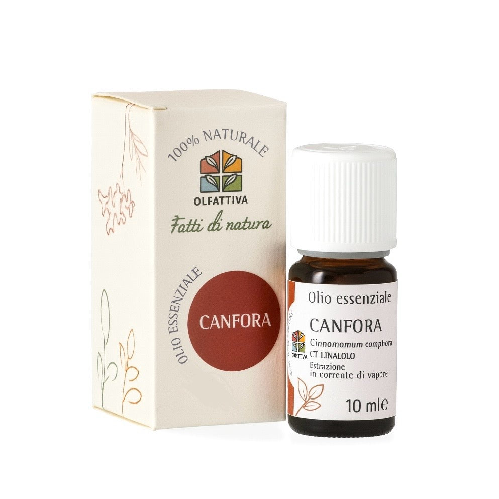 OLFATTIVA OLIO ESSENZIALE CANFORA - Energia, dinamismo e intraprendenza | Scopri su Clorophilla Shop