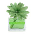 MUHÀ Flower Diffuser Profumatore d'ambiente con fiore - Mosto Supremo | Scopri su Clorophilla Shop