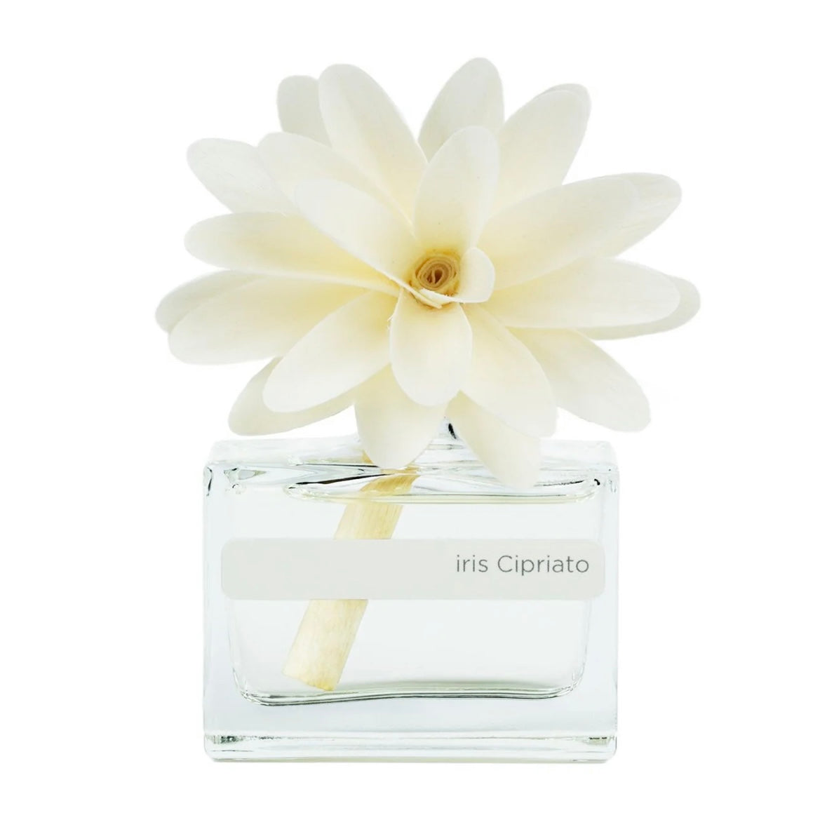 MUHÀ Flower Diffuser Profumatore d'ambiente con fiore - Iris Cipriato | Scopri su Clorophilla Shop