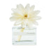 MUHÀ Flower Diffuser Profumatore d'ambiente con fiore - Iris Cipriato | Scopri su Clorophilla Shop