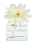 MUHÀ Flower Diffuser Profumatore d'ambiente con fiore - Iris Cipriato | Scopri su Clorophilla Shop