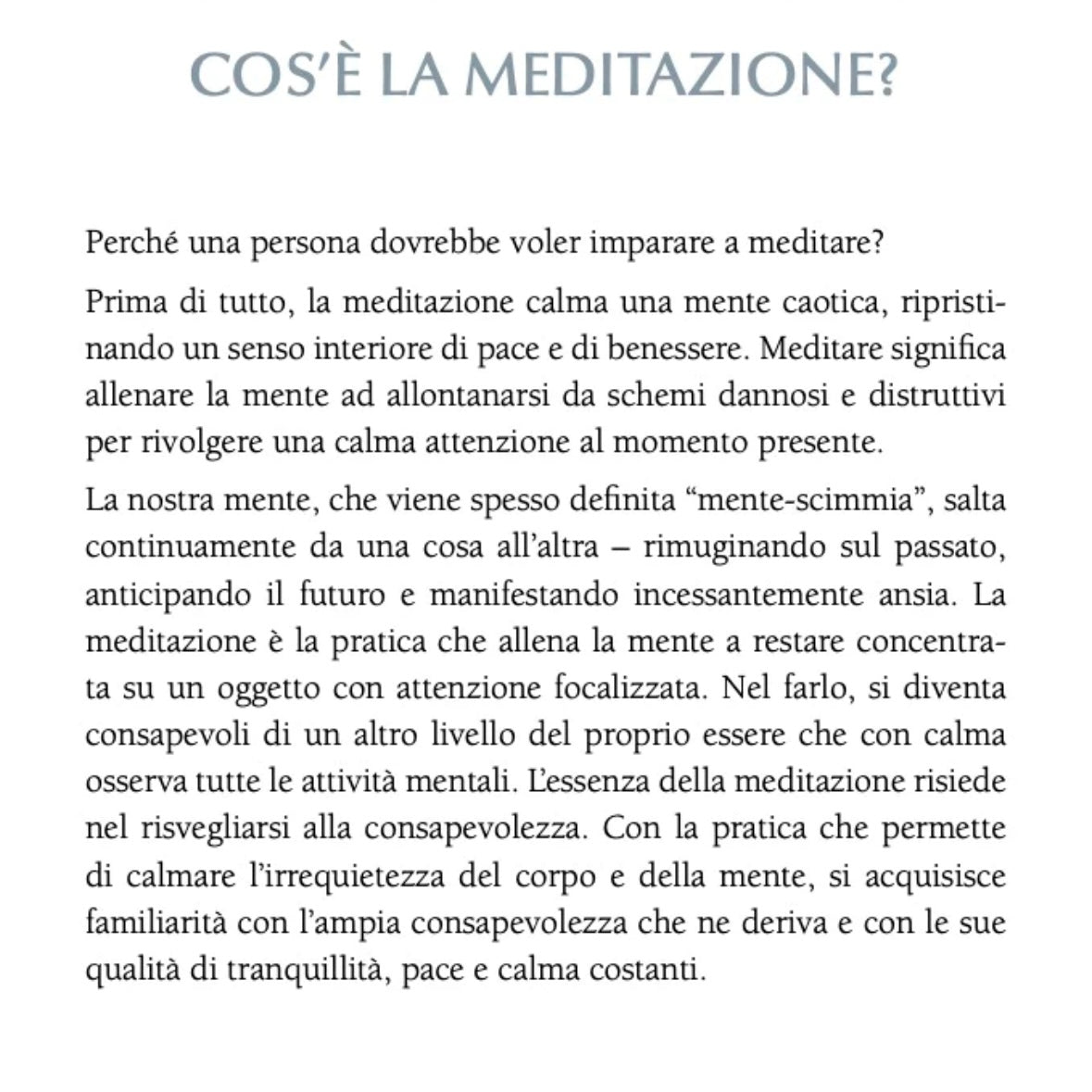 Libro "Il Piccolo Libro della Meditazione" David Pond - Tecniche meditative | Scopri su Clorophilla Shop