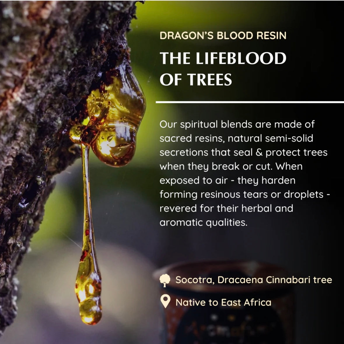 Aromafume Dragons Blood Mattoncini Incenso - Niente fumo e cenere | Scopri su Clorophilla Shop