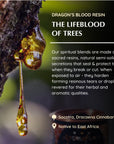 Aromafume Dragons Blood Mattoncini Incenso - Niente fumo e cenere | Scopri su Clorophilla Shop