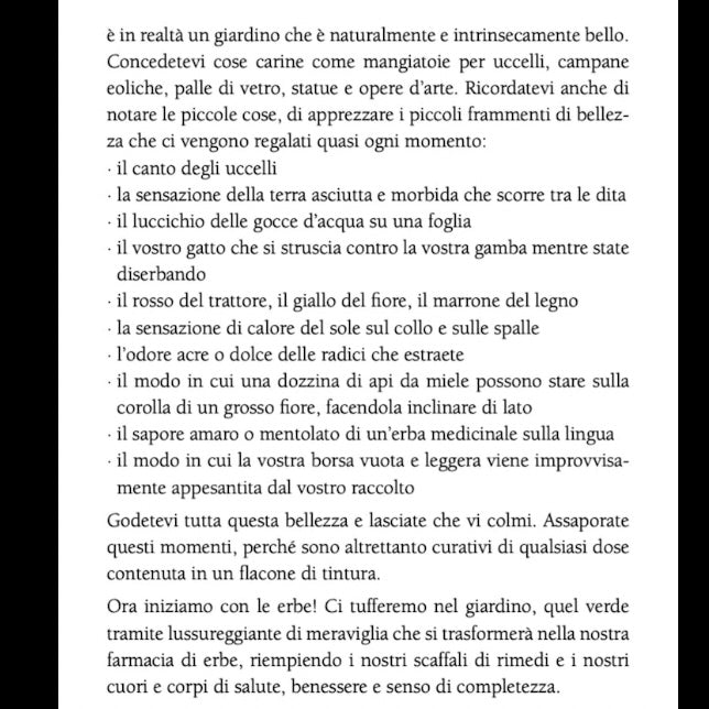 Libro "Il Piccolo Libro delle Erbe" Holly Bellebuono - Preparazione rimedi naturali con Erbe | Scopri su Clorophilla Shop