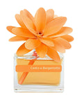 MUHÀ Flower Diffuser Profumatore d'ambiente con fiore - Cedro e Bergamotto | Scopri su Clorophilla Shop