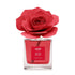 MUHÀ Rose Diffuser Profumatore ambiente con rosa - Petali di rosa | Scopri su Clorophilla Shop