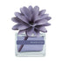 MUHÀ Flower Diffuser Profumatore d'ambiente con fiore - Muschio e Fiori | Scopri su Clorophilla Shop