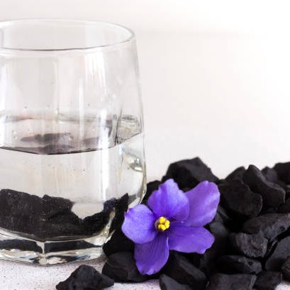 Shungite Grezza Origine Russia - Protezione onde elettromagnetiche e purificatore acqua detox - sacchetto 50g | Scopri su Clorophilla Shop