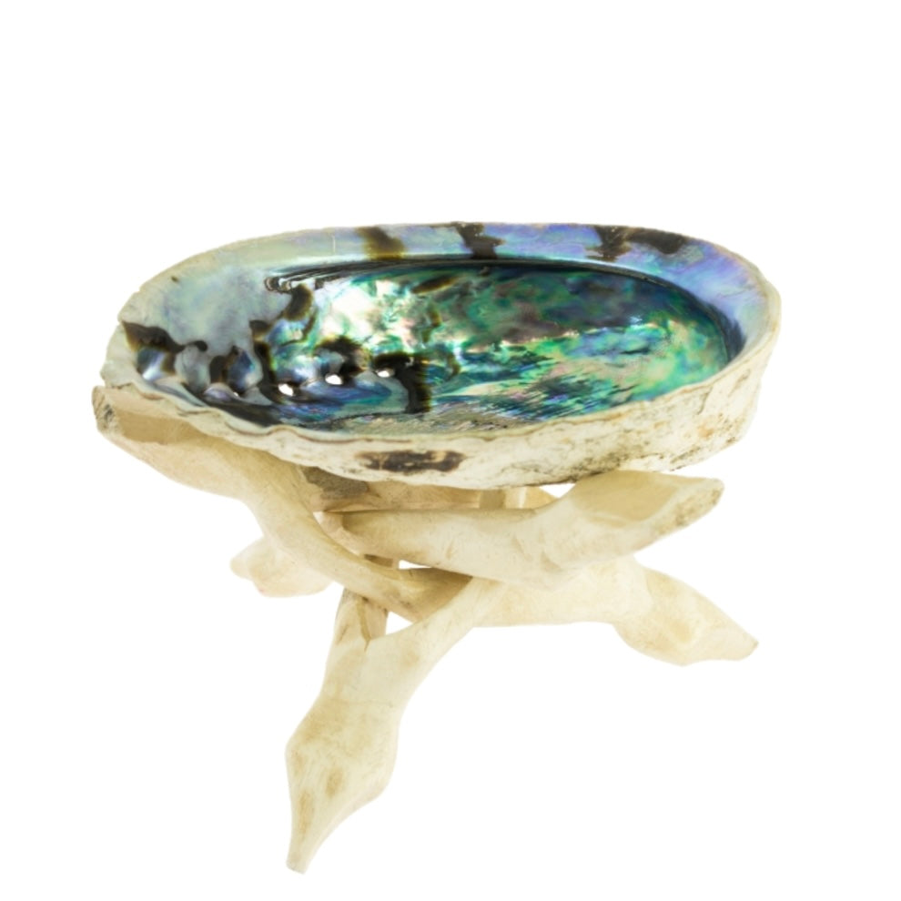 Treppiedi base per Conchiglia Abalone - Legno di pioppo intagliato a mano | Scopri su Clorophilla Shop
