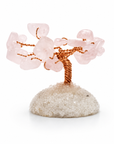 ALBERO DECORATIVO IN PIETRA | Scopri su Clorophilla Shop