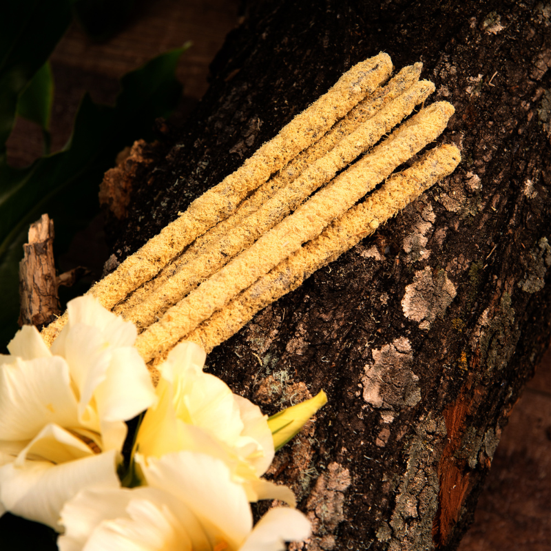 SAGRADA MADRE INCENSO LINEA BOTANICO FLOREALE - Magnolia | Scopri su Clorophilla Shop