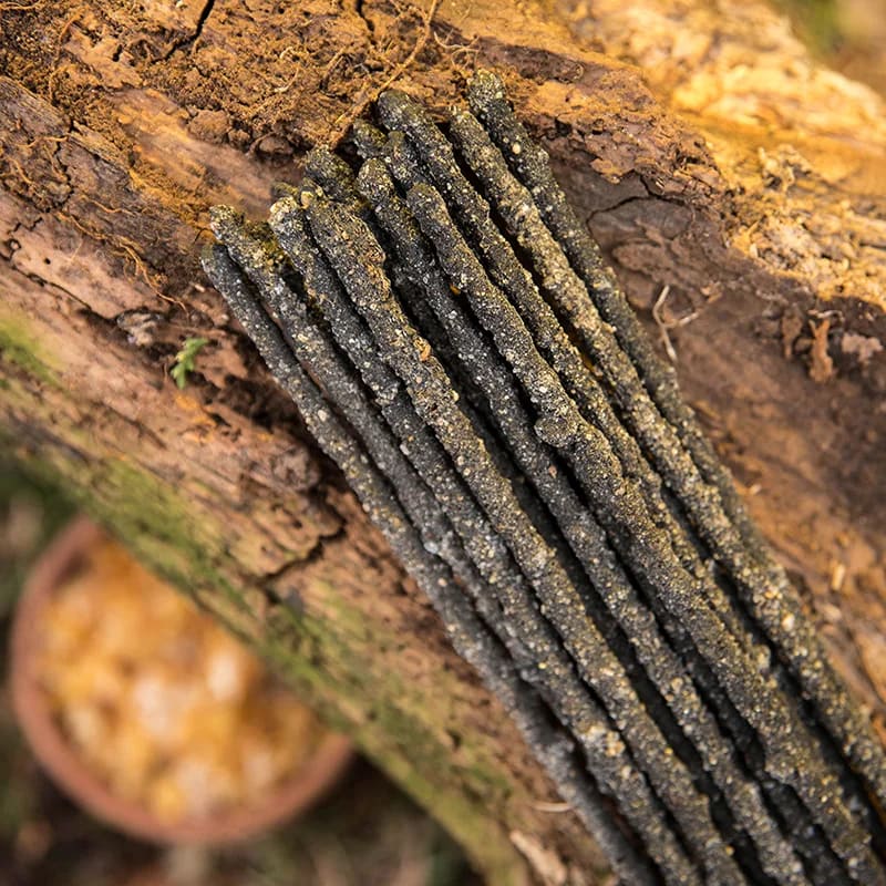SAGRADA MADRE INCENSO NATURALE - Frankincense (Olibano) | Scopri su Clorophilla Shop
