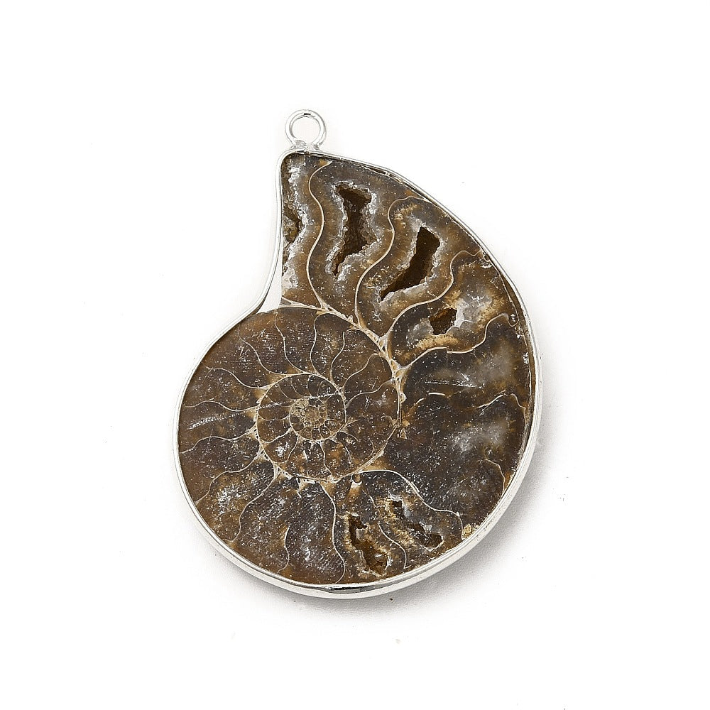 CIONDOLO DI AMMONITE - Fossile Energetico | Scopri su Clorophilla Shop