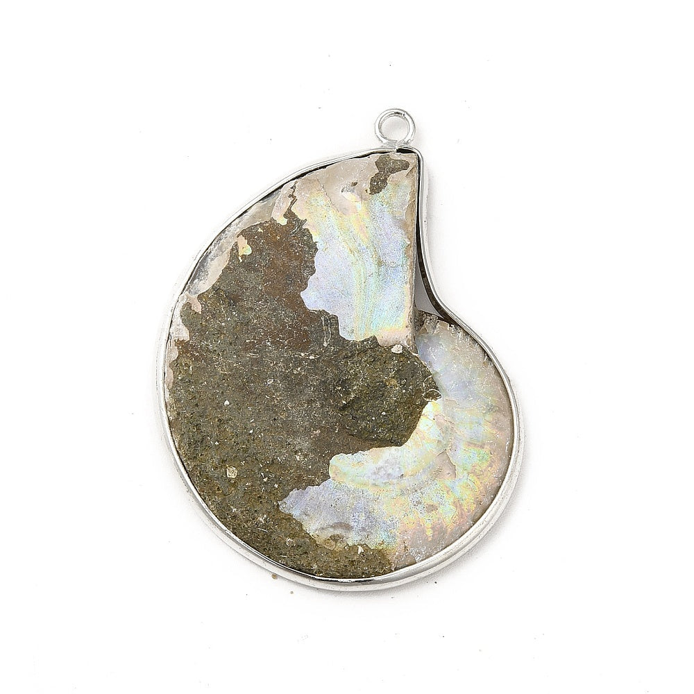 CIONDOLO DI AMMONITE - Fossile Energetico | Scopri su Clorophilla Shop