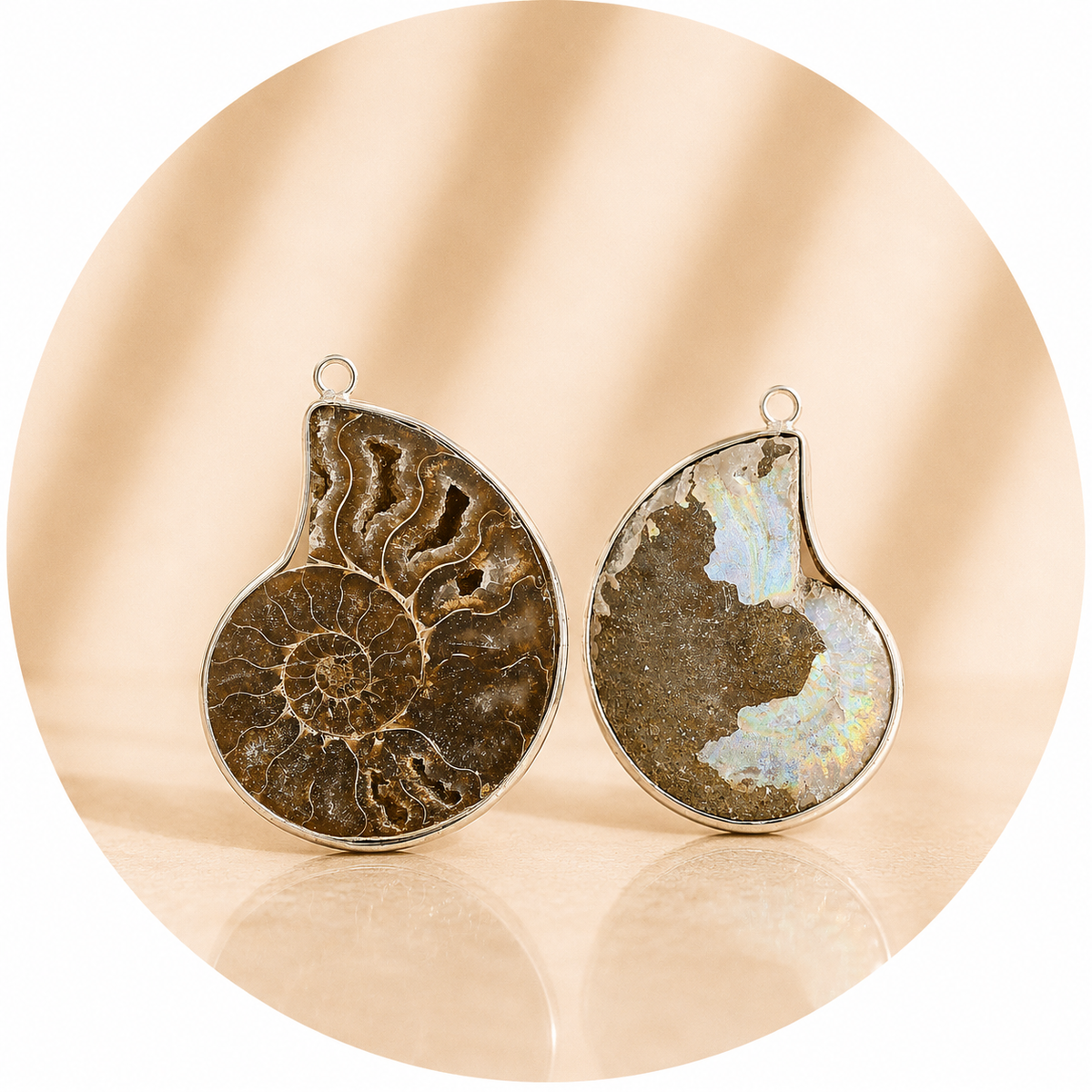 CIONDOLO DI AMMONITE - Fossile Energetico | Scopri su Clorophilla Shop