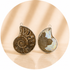 CIONDOLO DI AMMONITE - Fossile Energetico | Scopri su Clorophilla Shop