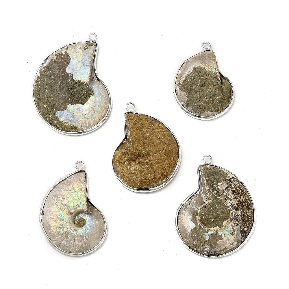 CIONDOLO DI AMMONITE - Fossile Energetico | Scopri su Clorophilla Shop
