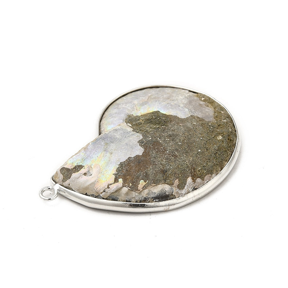 CIONDOLO DI AMMONITE - Fossile Energetico | Scopri su Clorophilla Shop