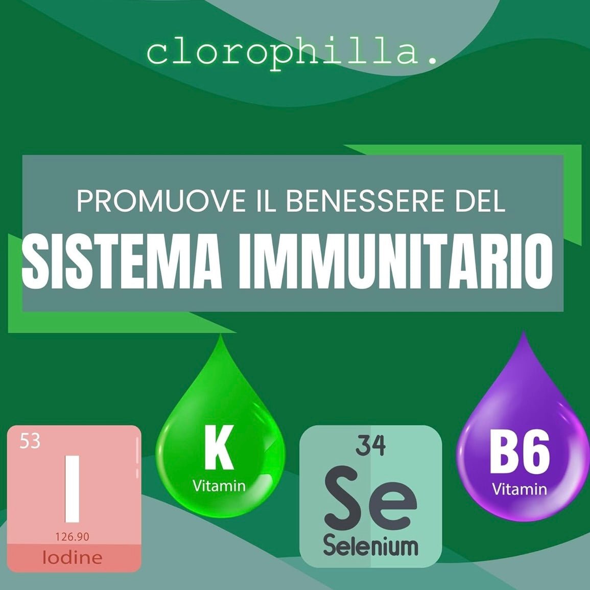 Clorophilla Spirulina Bio in compresse - Integratore dimagrimento, stanchezza e difese immunitarie - Clorophilla Shop