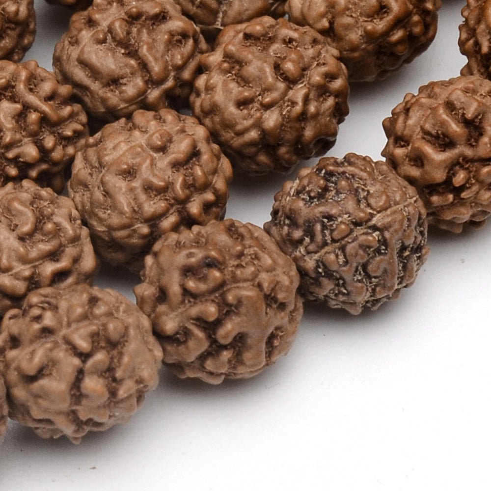 Collana Mala elastica Buddhista in Rudraksha - Clorophilla Shop
