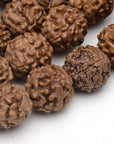 Collana Mala elastica Buddhista in Rudraksha - Clorophilla Shop