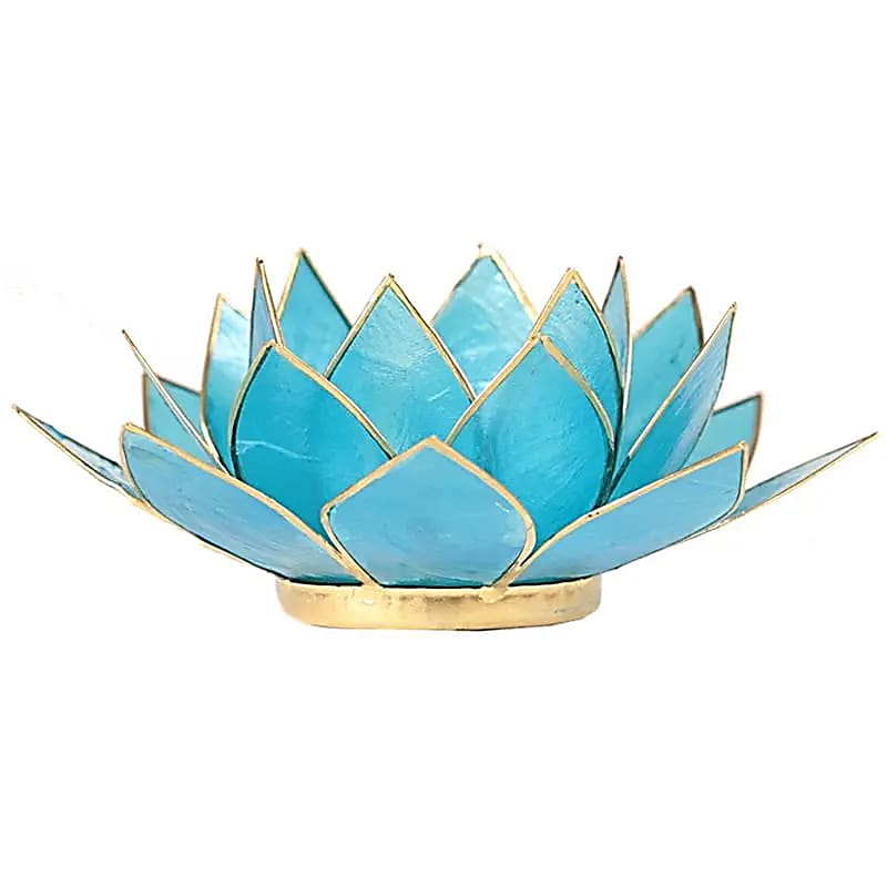 Loto illuminazione d'atmosfera in Conchiglia Lapiz - Portalumino azzurro 5 Chakra | Scopri su Clorophilla Shop